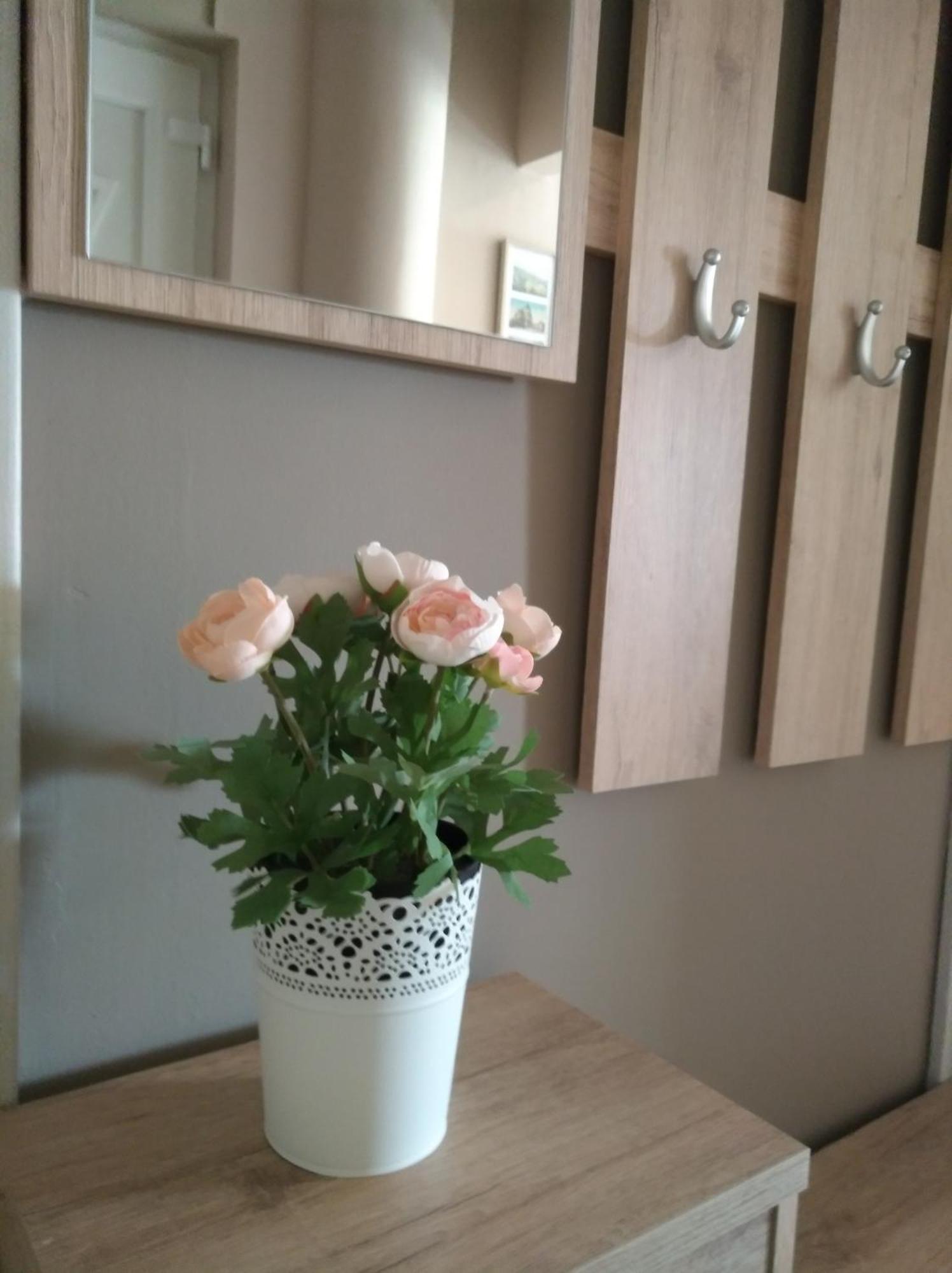 Aqua Apartmanok Pécs Buitenkant foto